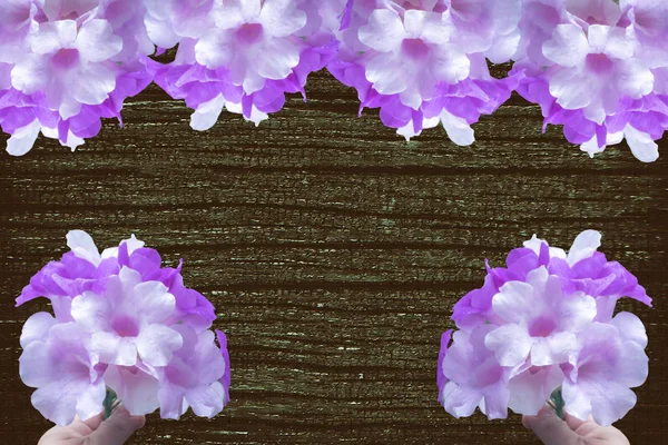 Grunge struttura in legno grigio e viola fiore boder backgroun — Foto Stock