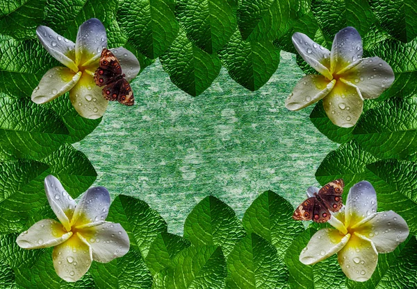 Boder foglie verdi con fiore e farfalla, design cornice b — Foto Stock
