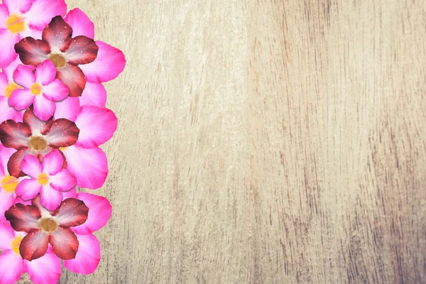 Rózsaszín virág boder vintage barna fa textúra háttér — Stock Fotó