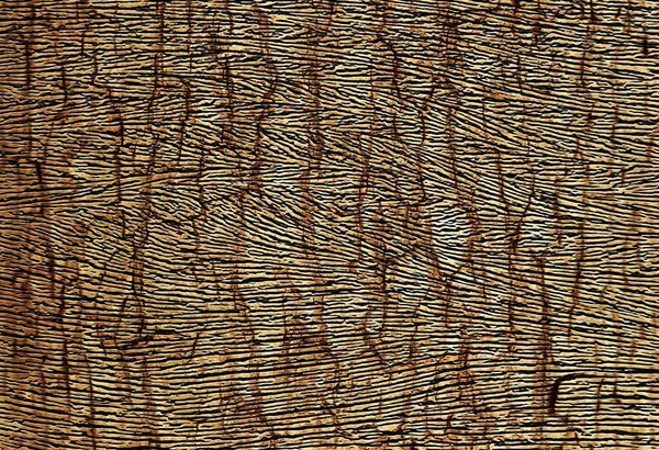 Soyut kaplan deri dokusu çizim arka planı — Stok fotoğraf