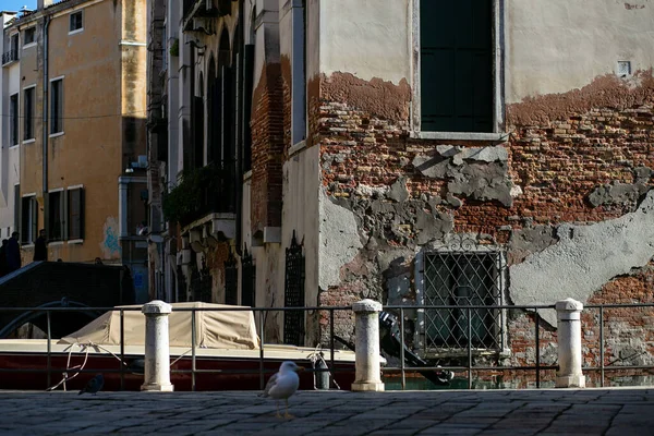 Állandó Páratartalom Velencében Negatívan Befolyásolja Téglaépületek Állapotát — Stock Fotó