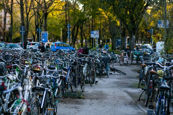 Cykelparkering Nära Stadsparken Full Cyklar Stockbild