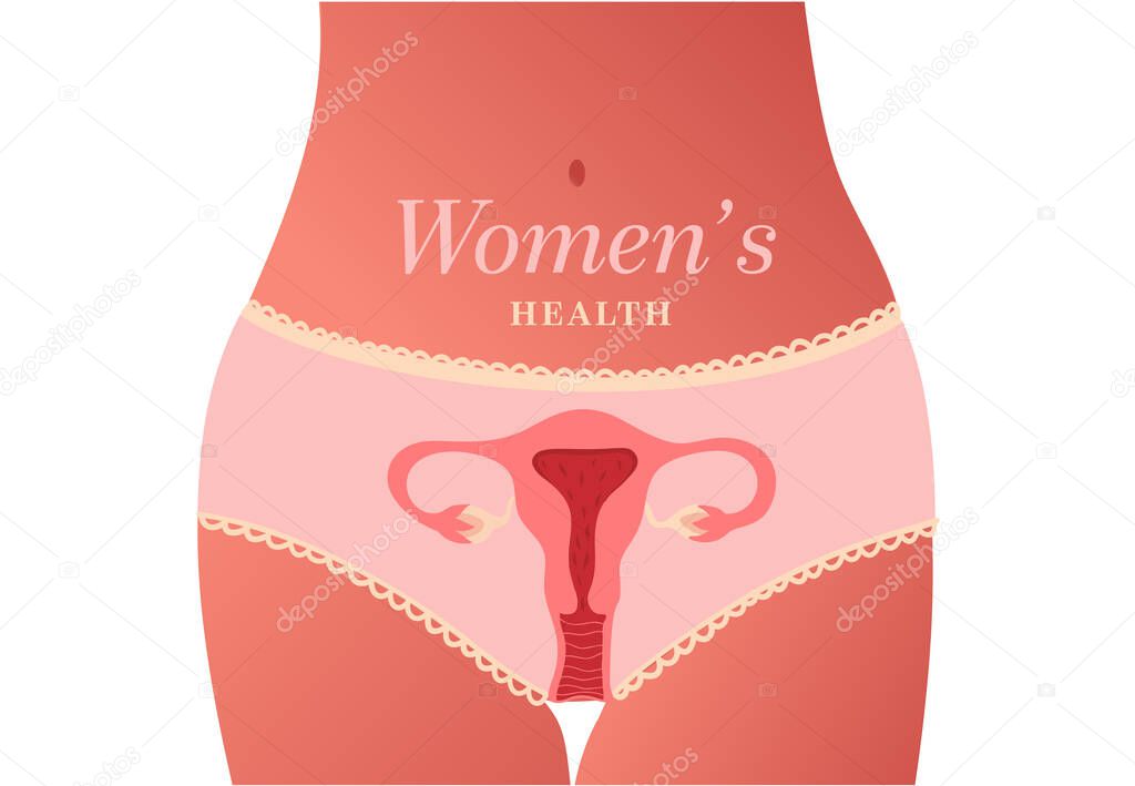 Female reproductive system. Womans health type. Vector illustration 