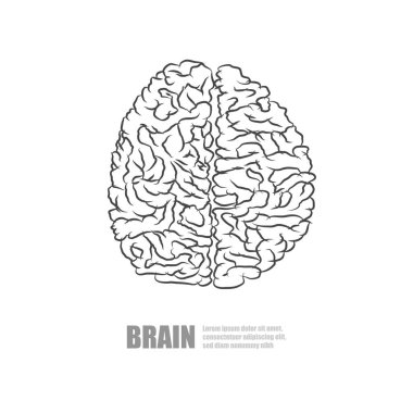 Vektör : Beyaz arka plan üzerinde beyaz beyin