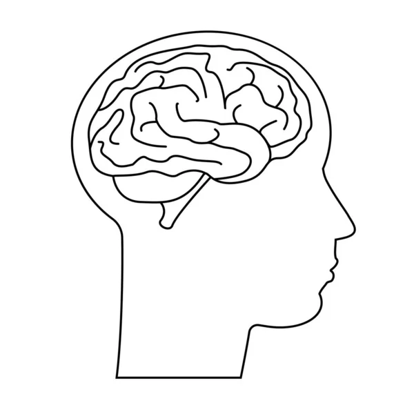 Garis Vektor Siluet Wajah Manusia Otak Dalam Profil Potret Pemuda - Stok Vektor