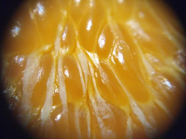 Glänzend Orange Mandarine Mandarine Zellen Textur Muster Hintergrund Nahaufnahme Makro — Stockfoto