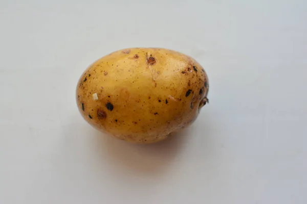 Frisch Gewaschen Aber Nicht Gereinigt Ungekocht Nasse Kartoffel Draufsicht — Stockfoto