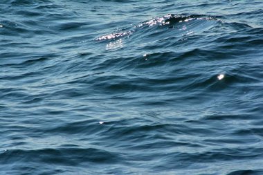 Düşük dalgalar ile pırıl pırıl dalgalanan berrak mavi okyanus su yüzeyinin soyut doku zengin su renkleri ile yakın arka plan vurgulamaktadır