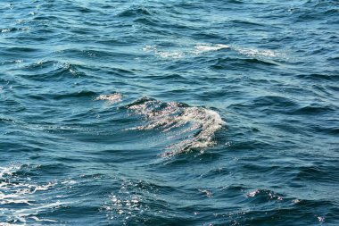 Düşük dalgalar vurgular ve deniz köpüğü arka plan zengin su renkleri ile yakın dalgalanan berrak mavi okyanus su yüzeyinin soyut doku