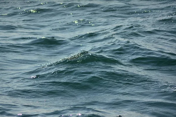 Abstraktní Textura Zvlněné Hladiny Modré Oceánské Vody Nízkými Vlnami Zvýrazní — Stock fotografie