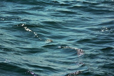 Düşük dalgalar ile parlak dalgalanan berrak mavi okyanus su yüzeyinin soyut doku zengin su renkleri ile yakın arka plan vurgular