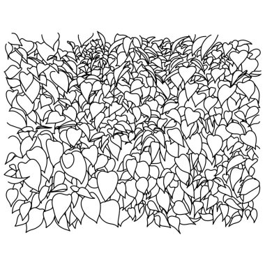 siyah anahat yaprak vektör illüstrasyon kroki elle izole beyaz arka plan üzerinde siyah çizgilerle çizilmiş doodle