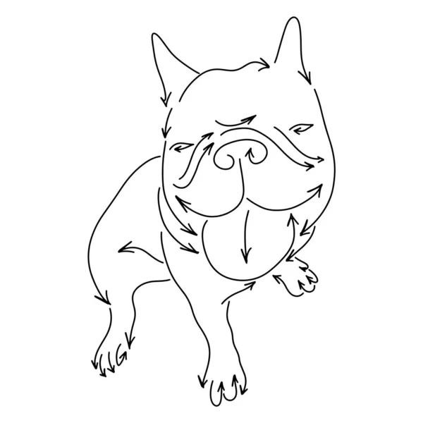 Bulldog készült nyilak vektor illusztráció vázlat Doodle kézzel rajzolt fekete vonalak elszigetelt fehér háttér — Stock Vector