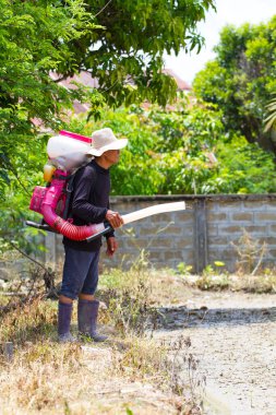 CHIANG RAI, THAILAND - 6 Haziran 2020 'de Tayland, Chiang Rai' de pirinç tarlasında pirinç yayıcısı kullanan kimliği belirsiz Asyalı çiftçinin yan görüntüsü.