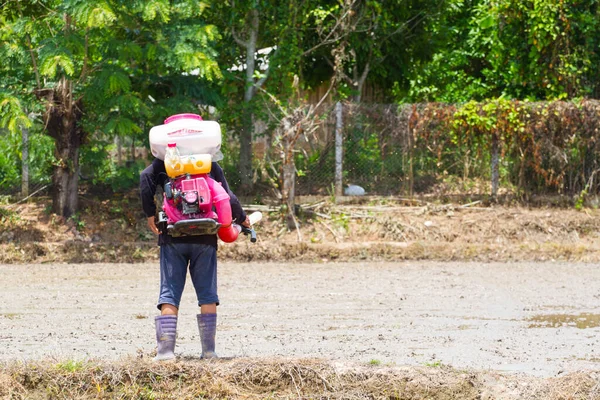 Чанг Рай Тайланд Июня Неопознанный Тайский Фермер Использующий Разбрасыватель Риса — стоковое фото