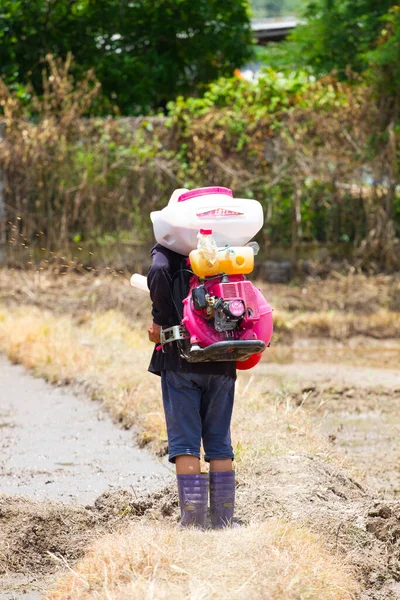 Chiang Rai Thailand Juni Rückansicht Eines Nicht Identifizierten Asiatischen Bauern — Stockfoto