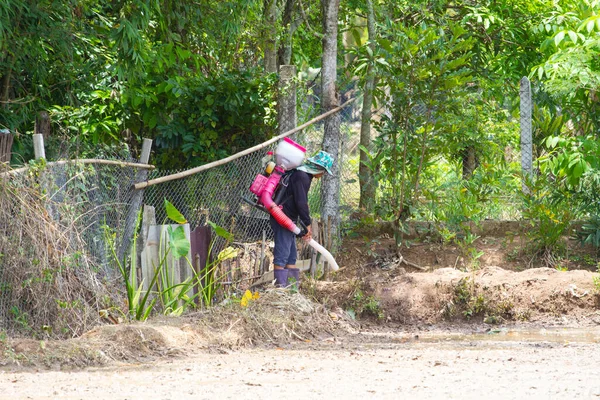 Chiang Rai Thailand Juni Unbekannter Asiatischer Landwirt Benutzt Reisstreuer Auf — Stockfoto