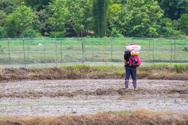 Chiang Rai Thailand June Wide Shot Unidentified Thai Farmer Using — Stock Photo, Image