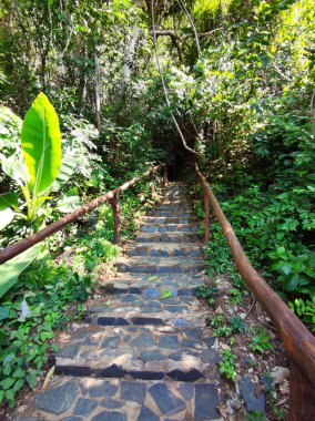 Tayland 'da gündüz vakti tırabzan ile parktaki beton basamakların dikey fotoğrafı