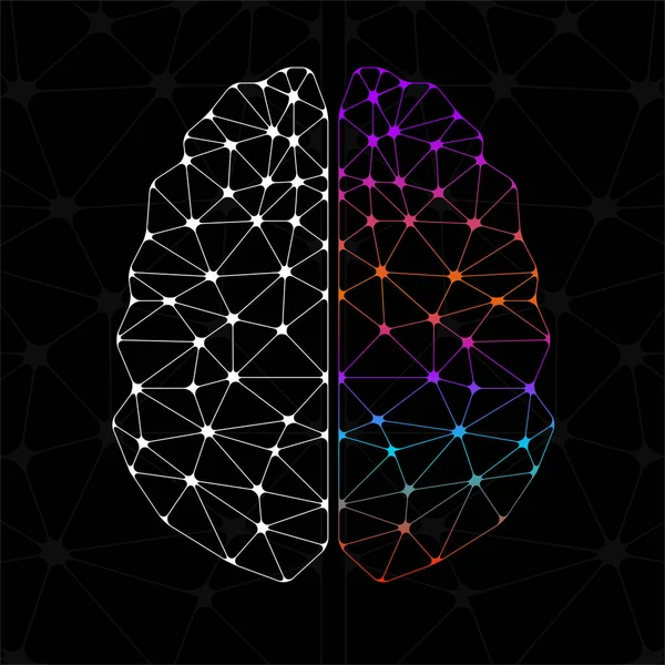 Abstraktní geometrické mozek levé a pravé hemisféry, síťová připojení — Stockový vektor