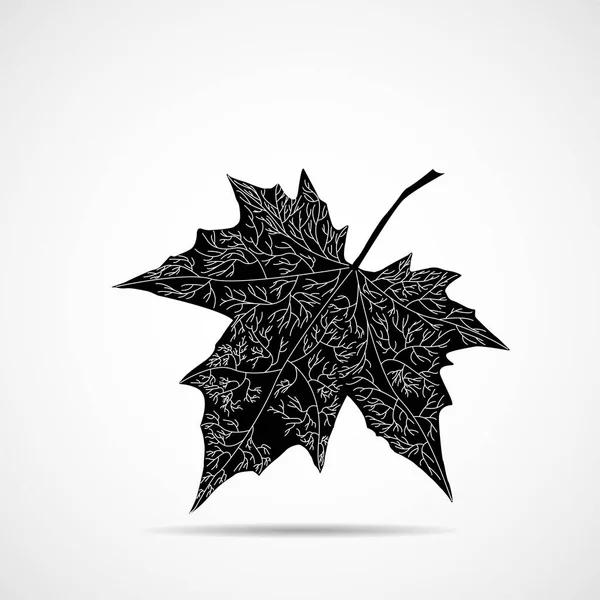 Feuille d'érable d'automne sur fond blanc, symbole d'automne — Image vectorielle