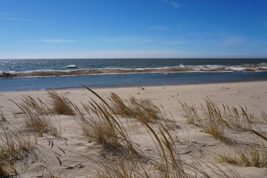 Sandy beach dalgalı deniz önünde çim ile