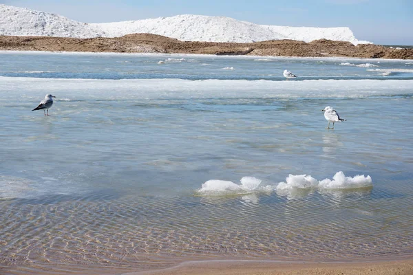 Lake Shore Dia Primavera Com Gelo Neve Água Céu Azul — Fotografia de Stock