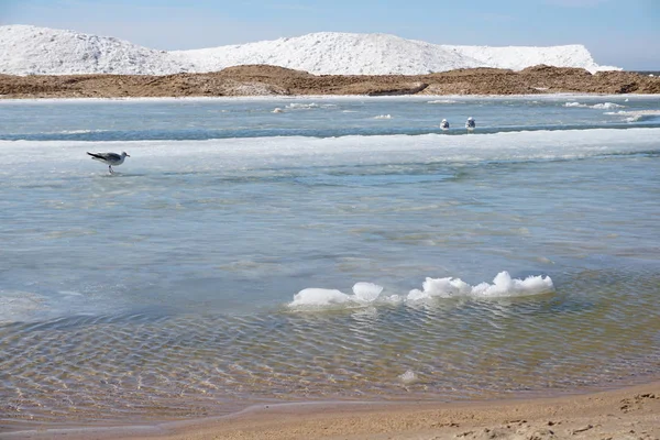 Lake Shore Dia Primavera Com Gelo Neve Água Céu Azul — Fotografia de Stock