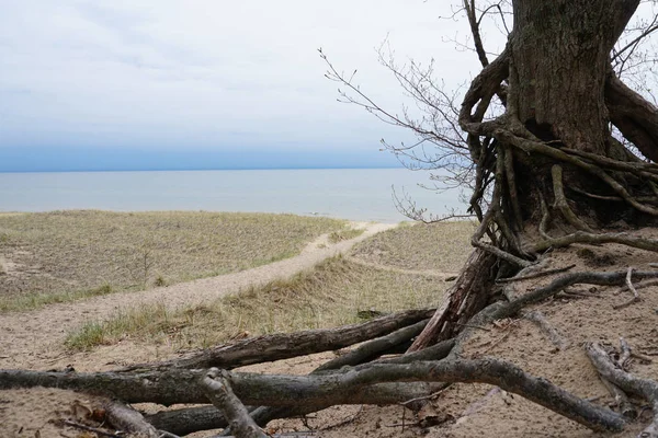 Areia Grama Praia Caminho Para Lago Céu Nublado Com Lago — Fotografia de Stock