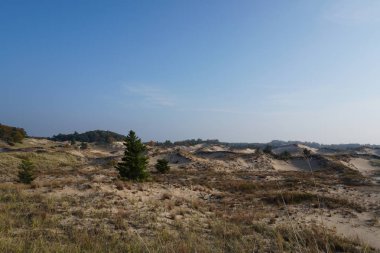 Beach çim ve kum tepeleri mavi gökyüzü karşı