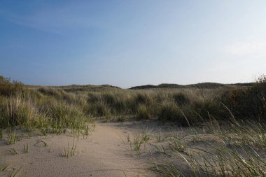 Beach çim ve kum tepeleri mavi gökyüzü karşı
