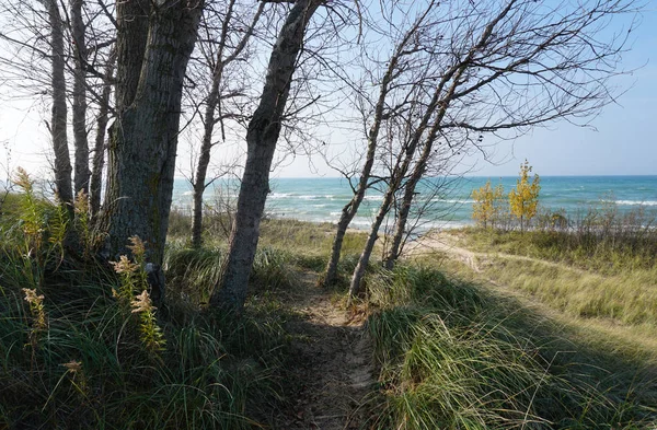 Linha Costa Lago Michigan Com Praia Céu Azul Árvores — Fotografia de Stock