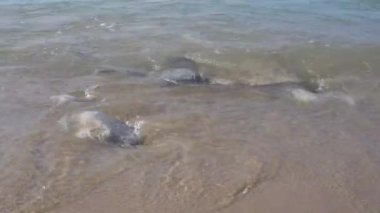 Dalgalı deniz yıkama plaj Full frame görüntü