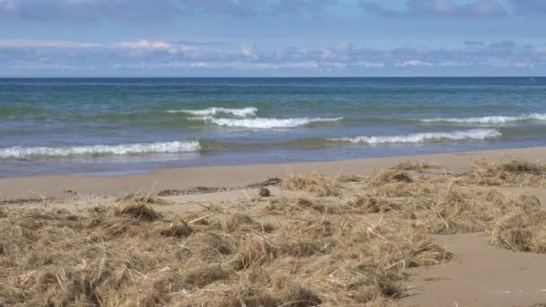 Вибірковий Фокус Пляжу Хвилясте Море Позаду — стокове відео