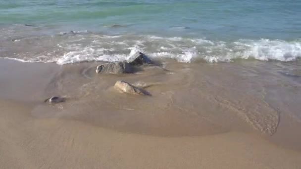 Lavaggio Dell Acqua Sulla Costa Sulla Spiaggia Sabbiosa — Video Stock