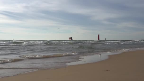 石桟橋付近の波状の海 — ストック動画