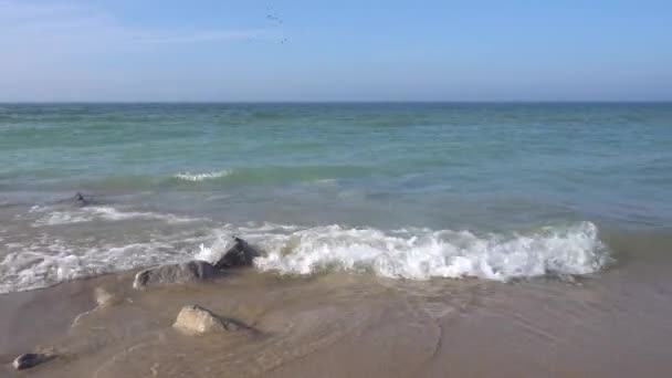 Lavaggio Dell Acqua Sulla Costa Sulla Spiaggia Sabbiosa — Video Stock