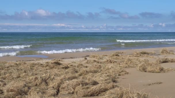 Focus Selettivo Della Spiaggia Del Mare Ondulato Alle Spalle — Video Stock