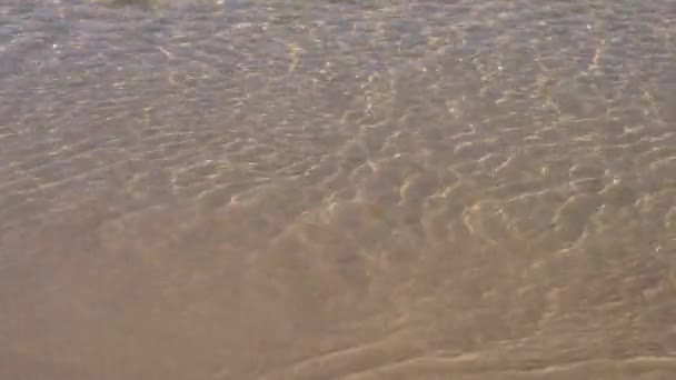 Full Frame Image Wavy Sea Washing Beach — Stock Video