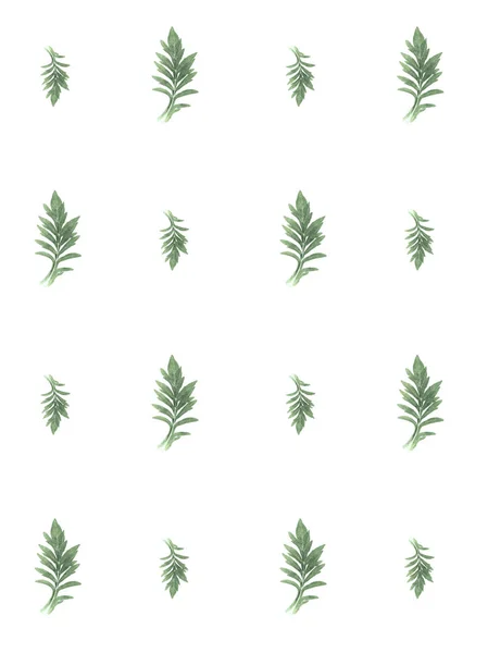Patrón de hierbas prensadas y secas en un blanco — Foto de Stock