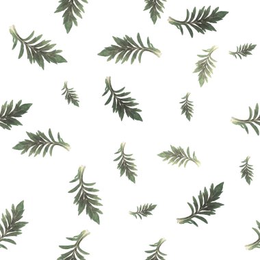 Bir beyaz izi preslenmiş ve kuru otlar