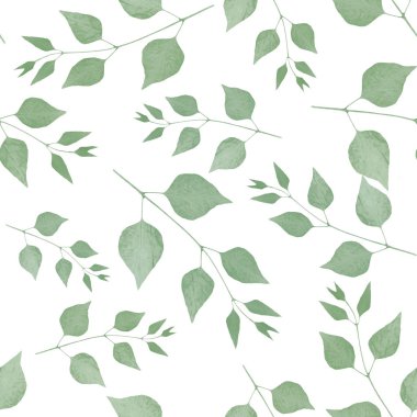 Beyaz bir arka plan üzerinde bitkiler şube izole desen. Scrapbooking floristik veya sulak için kullanım.