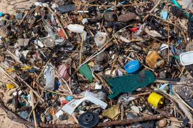 Plastik atık bir kıyıya.