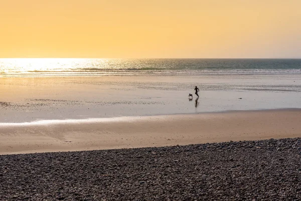 Woman Running Her Dog Beach Sunset — Stock Photo, Image