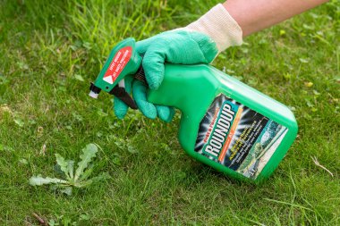 Paris, Fransa - 15 Ağustos 2018: Bahçıvan Roundup herbisit Fransız bir bahçede kullanarak. Geçen hafta bir marka-bir herbisit glyphosate, Monsanto şirketi tarafından yapılan içeren adıdır.