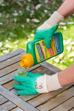 Paris, Fransa - 15 Ağustos 2018: Bahçıvan Roundup herbisit Fransız bir bahçede kullanarak. Geçen hafta bir marka-bir herbisit glyphosate, Monsanto şirketi tarafından yapılan içeren adıdır.