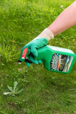 Paris, Fransa - 15 Ağustos 2018: Bahçıvan Roundup herbisit Fransız bir bahçede kullanarak. Geçen hafta bir marka-bir herbisit glyphosate, Monsanto şirketi tarafından yapılan içeren adıdır.