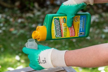 Paris, Fransa - 15 Ağustos 2018: Bahçıvan Roundup herbisit Fransız bir bahçede kullanarak. Geçen hafta bir marka-bir herbisit glyphosate, Monsanto şirketi tarafından yapılan içeren adıdır.