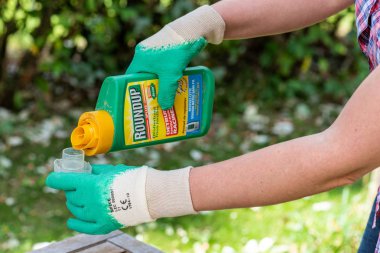 Paris, Fransa - 15 Ağustos 2018: Bahçıvan Roundup herbisit Fransız bir bahçede kullanarak. Geçen hafta bir marka-bir herbisit glyphosate, Monsanto şirketi tarafından yapılan içeren adıdır.