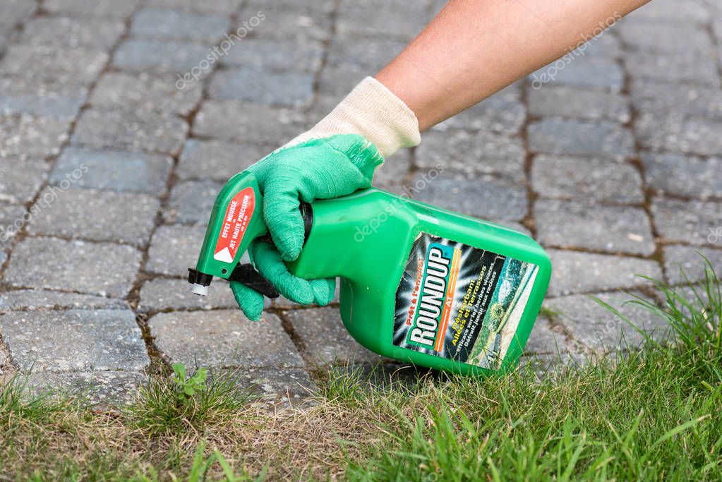 Paris, France - August 15, 2018 : Gardener using Roundup herbicide in a french garden. Roundup is a brand-name of an herbicide containing glyphosate, made by Monsanto Company.